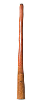 Tristan O'Meara Didgeridoo (TM432)